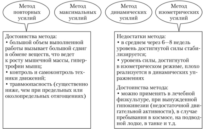 Strength in physical education. What is it, types, absolute, relative, development