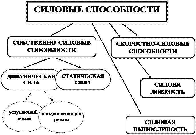 Strength in physical education. What is it, types, absolute, relative, development