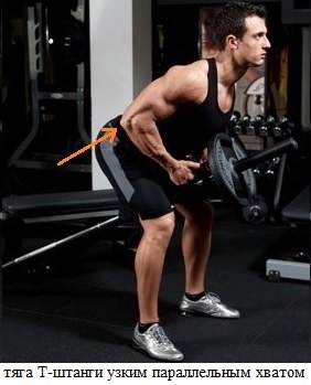 Bent-over T-Bar Row. What muscles work, execution technique