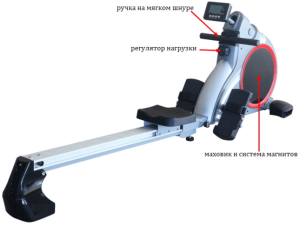 Rowing simulators (rowing) for home. Which muscles work, which one is better