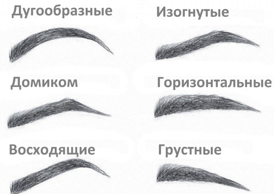 Types of eyebrows in girls. Photos, titles, correction, tattoo